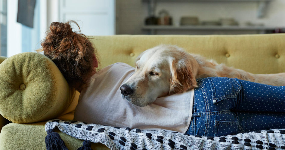 Healthcare articles - Best foods for sleep