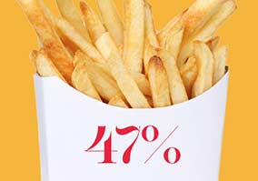 Fries Fries