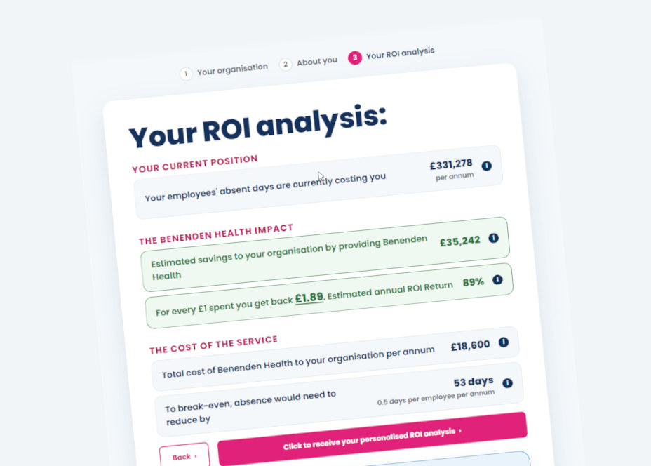 Preview of the ROI calculator