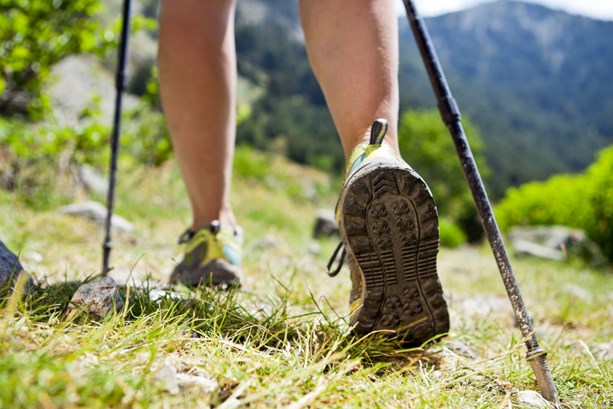 nordic walking in the countryside