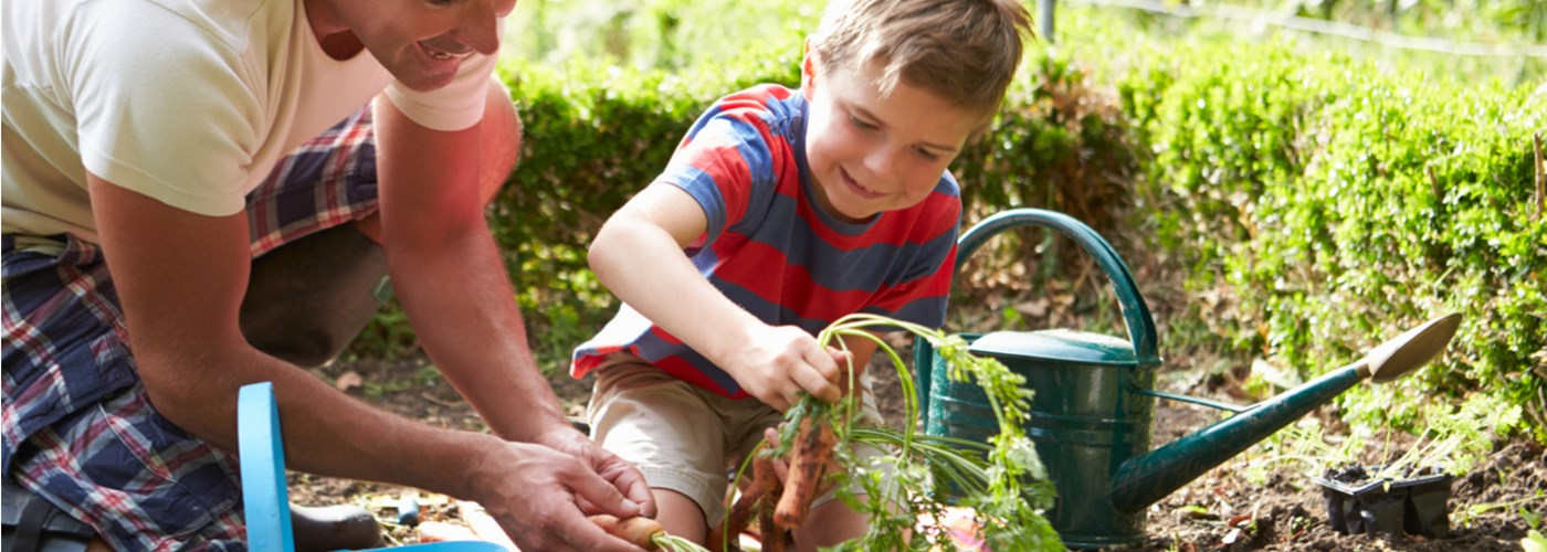 son and dad gardening