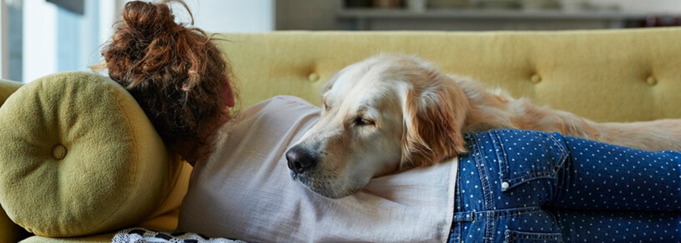 Young woman lying on a sofa with a golden retriever next to her