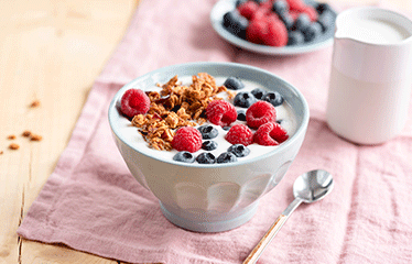 Bowl of yoghurt and fruit 