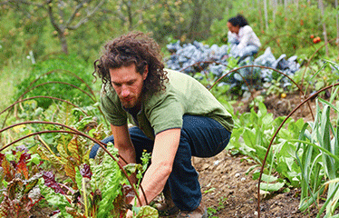 Man gardening 