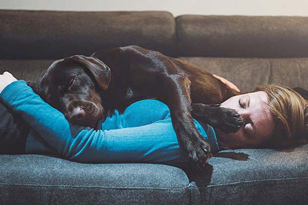 Home Insurance claim - A person and their dog asleep on a sofa