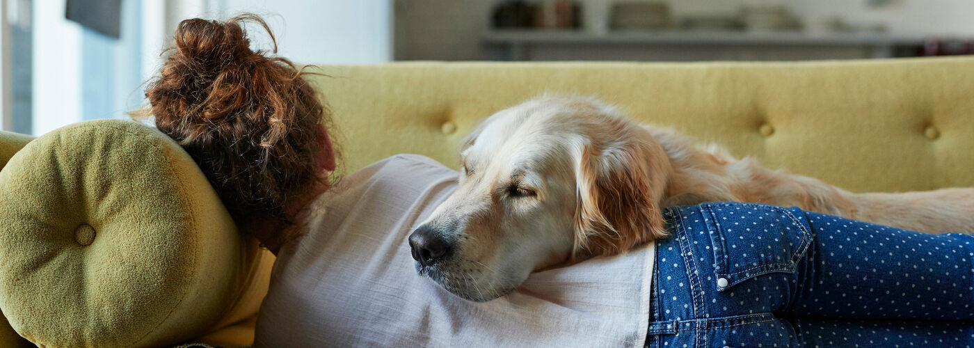 Woman and dog lying on the sofa